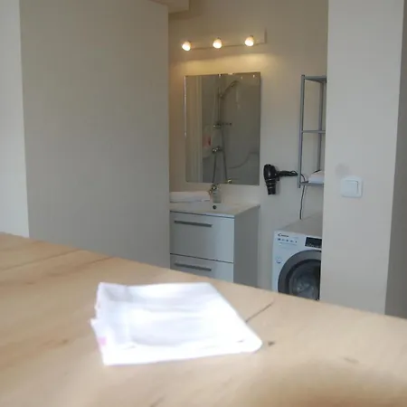 Leclerc - D'hotes - Secteur Thermal Apartment *